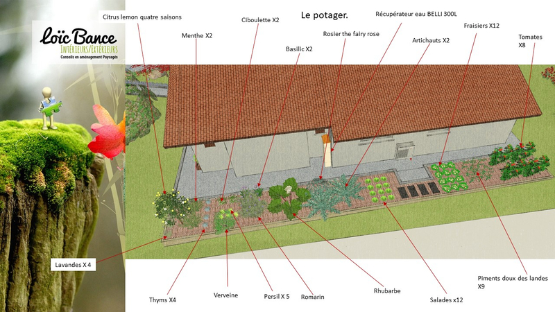 Paysagiste Pays Basque croquis de jardin