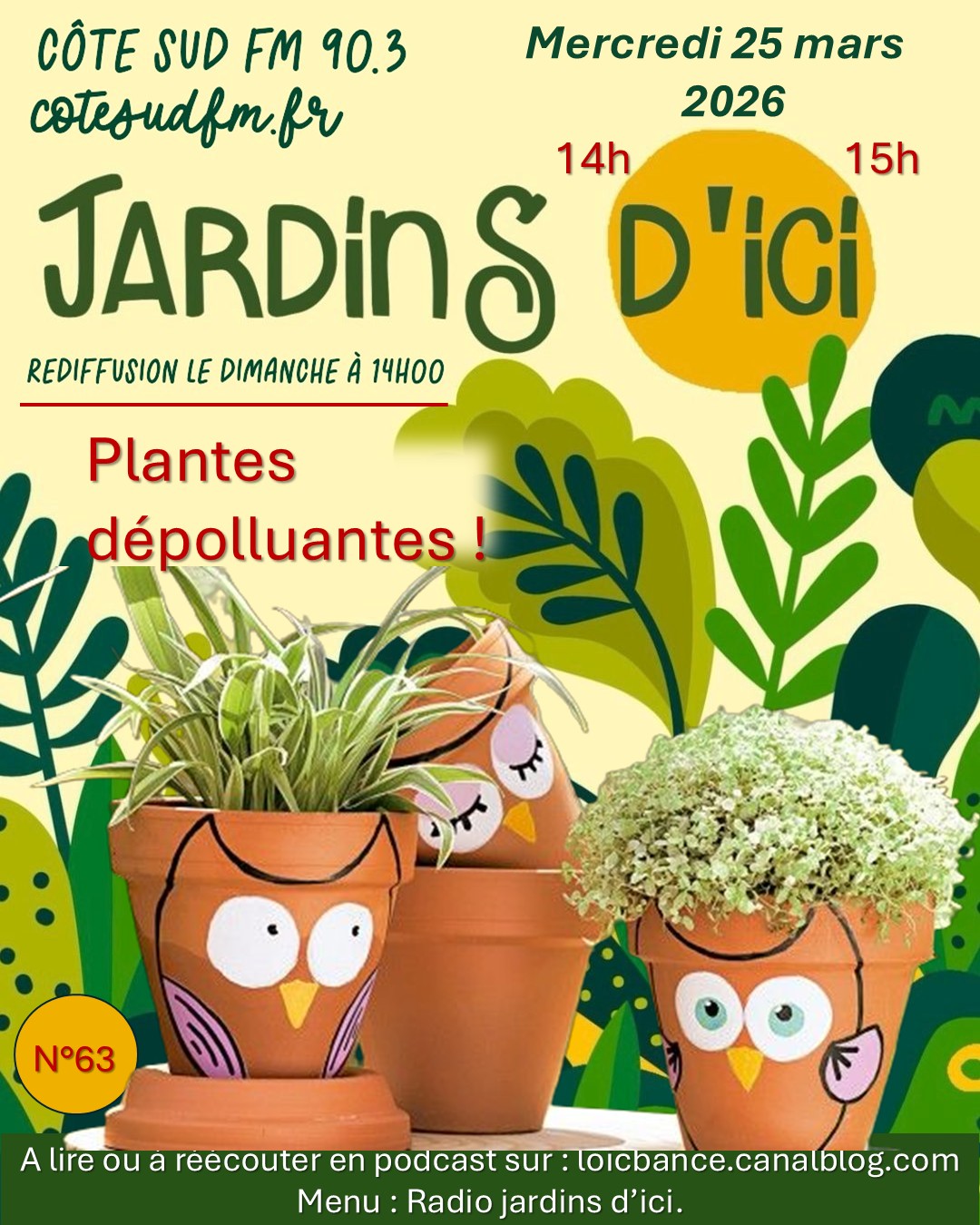 Jardins d'ici : Les plantes dépolluantes avec Marion les fleurs, fleuriste à Saint Martin de Seignanx 40390..