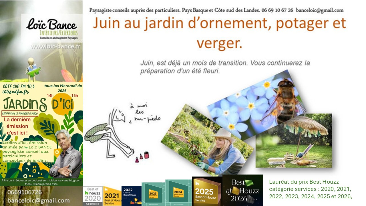 Les travaux de juin 2026 au jardin d'ornement, potager ou fruitier par Pays Basque Paysages