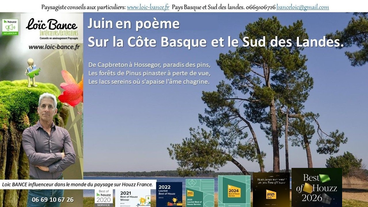 Juin en poème sur la Côte Basco-Landaise. Pays Basque Paysages