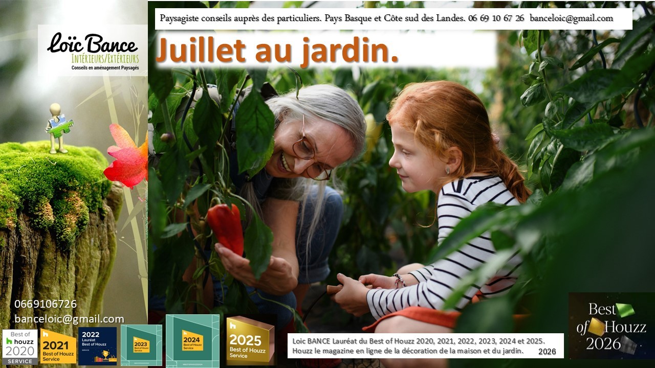 Les travaux de juillet au jardin.