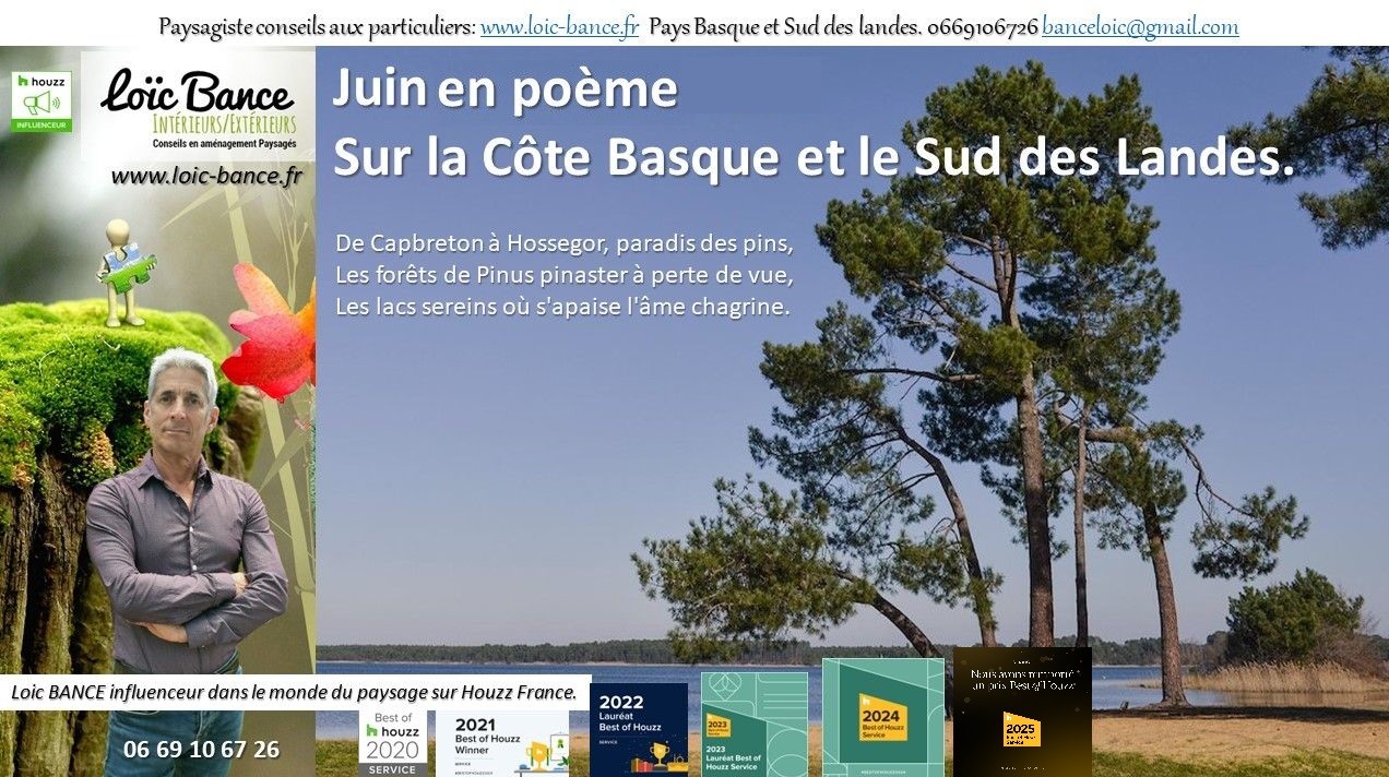 paysages; Landes; Pays Basque; Paysagiste; Paysagiste Landes; Paysagiste Pays Basque; Loïc BANCE; Concepteur de jardins; Aménagements paysagers; Paysagiste conseils aux particuliers; Juin; 
